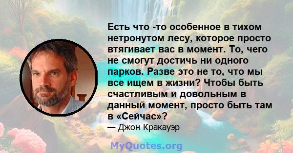 Есть что -то особенное в тихом нетронутом лесу, которое просто втягивает вас в момент. То, чего не смогут достичь ни одного парков. Разве это не то, что мы все ищем в жизни? Чтобы быть счастливым и довольным в данный