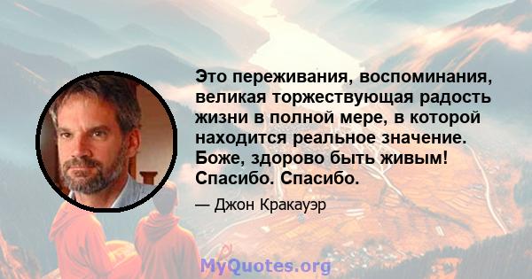 Это переживания, воспоминания, великая торжествующая радость жизни в полной мере, в которой находится реальное значение. Боже, здорово быть живым! Спасибо. Спасибо.