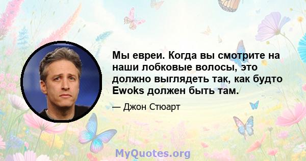 Мы евреи. Когда вы смотрите на наши лобковые волосы, это должно выглядеть так, как будто Ewoks должен быть там.