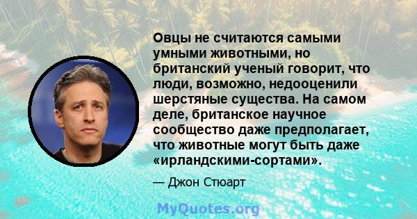 Овцы не считаются самыми умными животными, но британский ученый говорит, что люди, возможно, недооценили шерстяные существа. На самом деле, британское научное сообщество даже предполагает, что животные могут быть даже