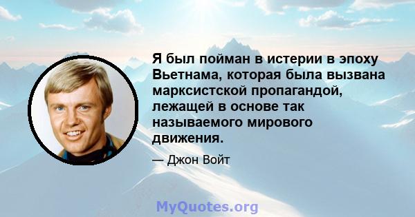 Я был пойман в истерии в эпоху Вьетнама, которая была вызвана марксистской пропагандой, лежащей в основе так называемого мирового движения.