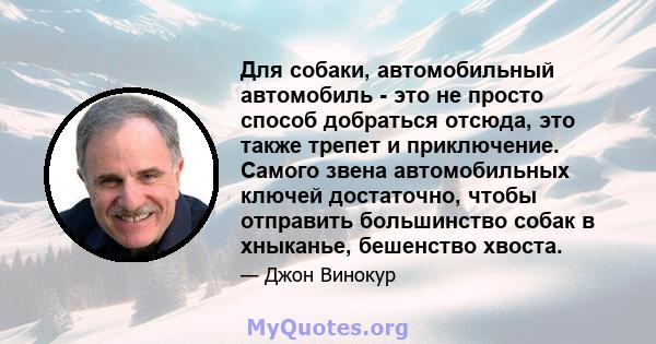 Для собаки, автомобильный автомобиль - это не просто способ добраться отсюда, это также трепет и приключение. Самого звена автомобильных ключей достаточно, чтобы отправить большинство собак в хныканье, бешенство хвоста.