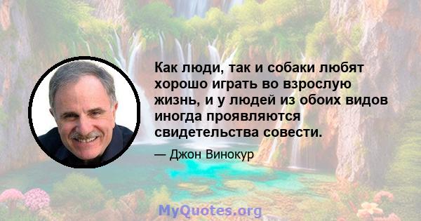 Как люди, так и собаки любят хорошо играть во взрослую жизнь, и у людей из обоих видов иногда проявляются свидетельства совести.