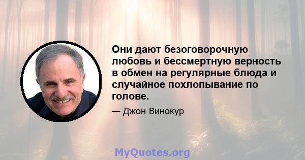 Они дают безоговорочную любовь и бессмертную верность в обмен на регулярные блюда и случайное похлопывание по голове.