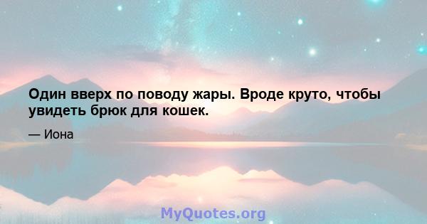 Один вверх по поводу жары. Вроде круто, чтобы увидеть брюк для кошек.