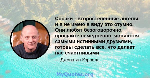 Собаки - второстепенные ангелы, и я не имею в виду это отумно. Они любят безоговорочно, прощайте немедленно, являются самыми истинными друзьями, готовы сделать все, что делает нас счастливыми