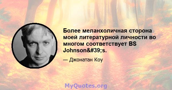 Более меланхоличная сторона моей литературной личности во многом соответствует BS Johnson's.