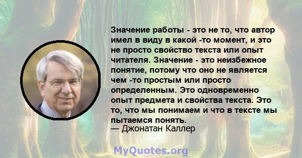 Значение работы - это не то, что автор имел в виду в какой -то момент, и это не просто свойство текста или опыт читателя. Значение - это неизбежное понятие, потому что оно не является чем -то простым или просто