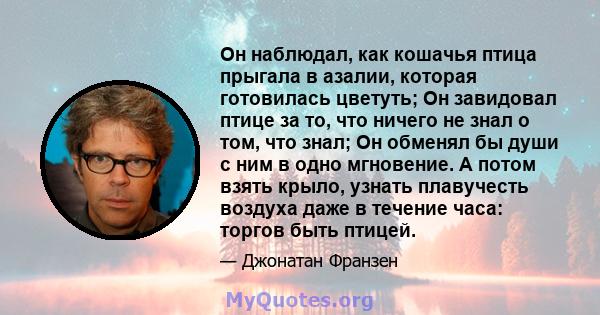 Он наблюдал, как кошачья птица прыгала в азалии, которая готовилась цветуть; Он завидовал птице за то, что ничего не знал о том, что знал; Он обменял бы души с ним в одно мгновение. А потом взять крыло, узнать