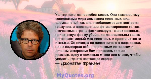 Уолтер никогда не любил кошек. Они казались ему социопатами мира домашних животных, вид, одомашнетый как зло, необходимое для контроля грызунов, и впоследствии фетишизировало то, как несчастные страны фетишизируют своих 