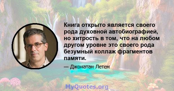 Книга открыто является своего рода духовной автобиографией, но хитрость в том, что на любом другом уровне это своего рода безумный коллаж фрагментов памяти.