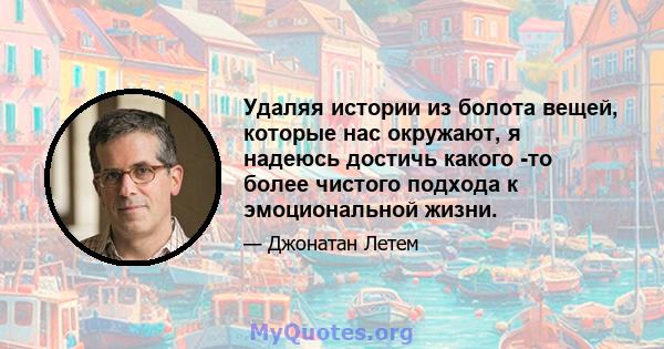 Удаляя истории из болота вещей, которые нас окружают, я надеюсь достичь какого -то более чистого подхода к эмоциональной жизни.