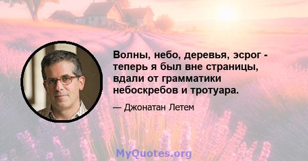 Волны, небо, деревья, эсрог - теперь я был вне страницы, вдали от грамматики небоскребов и тротуара.