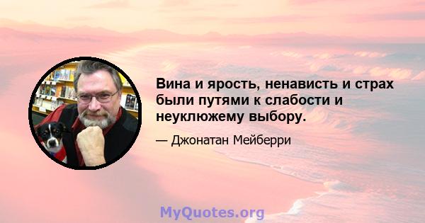 Вина и ярость, ненависть и страх были путями к слабости и неуклюжему выбору.