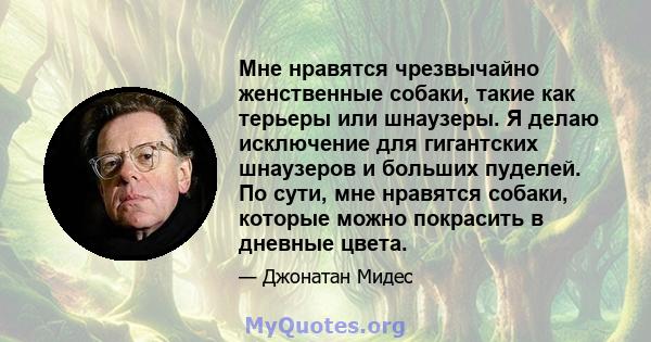 Мне нравятся чрезвычайно женственные собаки, такие как терьеры или шнаузеры. Я делаю исключение для гигантских шнаузеров и больших пуделей. По сути, мне нравятся собаки, которые можно покрасить в дневные цвета.