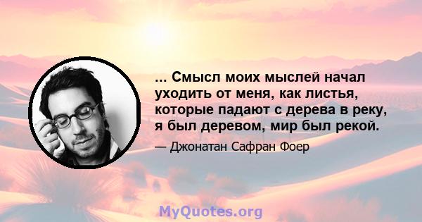 ... Смысл моих мыслей начал уходить от меня, как листья, которые падают с дерева в реку, я был деревом, мир был рекой.