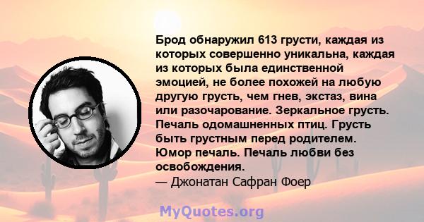 Брод обнаружил 613 грусти, каждая из которых совершенно уникальна, каждая из которых была единственной эмоцией, не более похожей на любую другую грусть, чем гнев, экстаз, вина или разочарование. Зеркальное грусть.