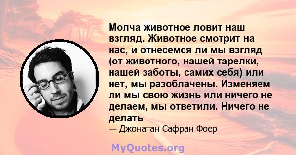 Молча животное ловит наш взгляд. Животное смотрит на нас, и отнесемся ли мы взгляд (от животного, нашей тарелки, нашей заботы, самих себя) или нет, мы разоблачены. Изменяем ли мы свою жизнь или ничего не делаем, мы