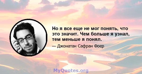 Но я все еще не мог понять, что это значит. Чем больше я узнал, тем меньше я понял.