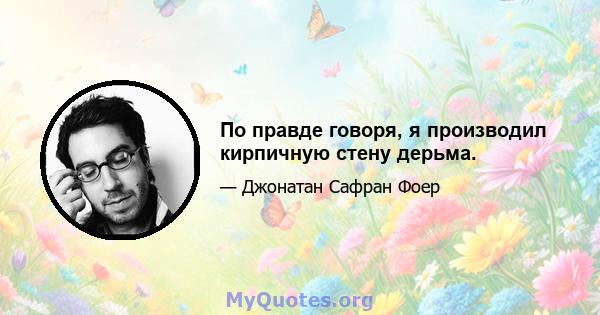 По правде говоря, я производил кирпичную стену дерьма.