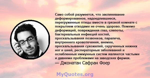 Само собой разумеется, что заклинивание деформированное, надоедлившиеся, перегруженные птицы вместе в грязной комнате с покрытием отходами не очень здорово. Помимо деформаций, повреждения глаз, слепоты, бактериальных