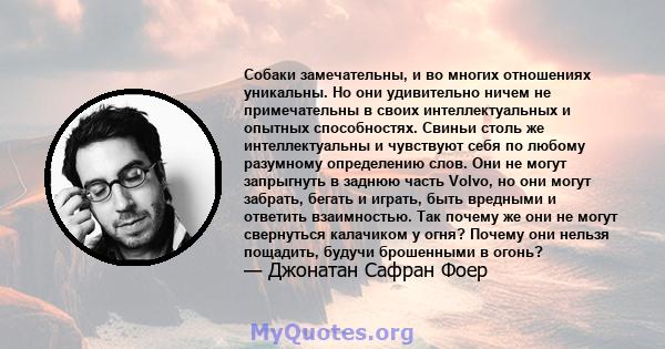 Собаки замечательны, и во многих отношениях уникальны. Но они удивительно ничем не примечательны в своих интеллектуальных и опытных способностях. Свиньи столь же интеллектуальны и чувствуют себя по любому разумному