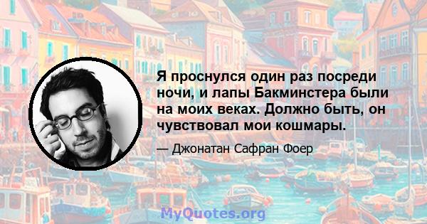 Я проснулся один раз посреди ночи, и лапы Бакминстера были на моих веках. Должно быть, он чувствовал мои кошмары.