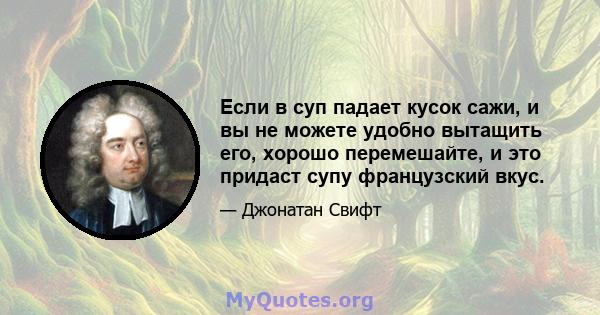 Если в суп падает кусок сажи, и вы не можете удобно вытащить его, хорошо перемешайте, и это придаст супу французский вкус.