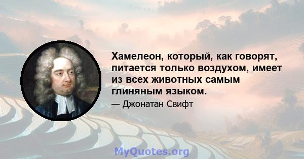 Хамелеон, который, как говорят, питается только воздухом, имеет из всех животных самым глиняным языком.