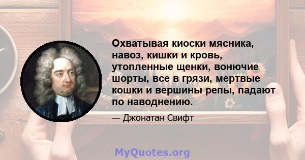 Охватывая киоски мясника, навоз, кишки и кровь, утопленные щенки, вонючие шорты, все в грязи, мертвые кошки и вершины репы, падают по наводнению.