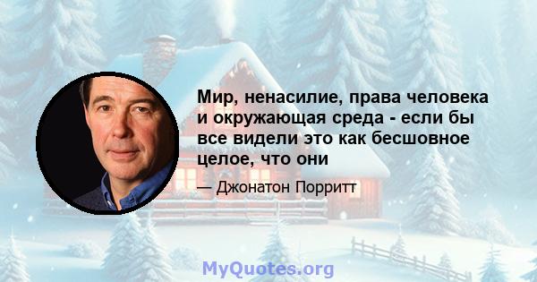 Мир, ненасилие, права человека и окружающая среда - если бы все видели это как бесшовное целое, что они