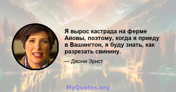 Я вырос кастрада на ферме Айовы, поэтому, когда я приеду в Вашингтон, я буду знать, как разрезать свинину.