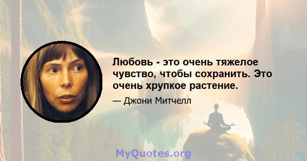 Любовь - это очень тяжелое чувство, чтобы сохранить. Это очень хрупкое растение.