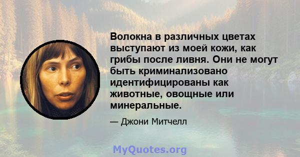 Волокна в различных цветах выступают из моей кожи, как грибы после ливня. Они не могут быть криминализовано идентифицированы как животные, овощные или минеральные.