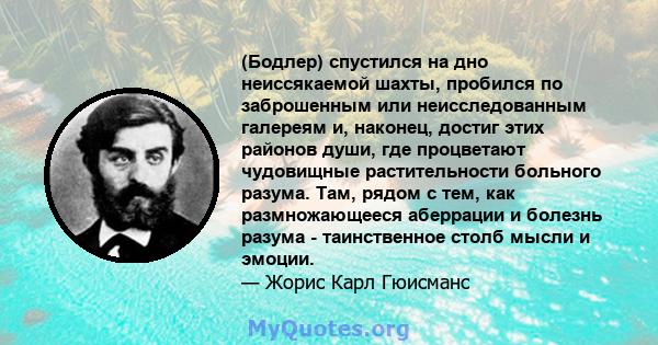 (Бодлер) спустился на дно неиссякаемой шахты, пробился по заброшенным или неисследованным галереям и, наконец, достиг этих районов души, где процветают чудовищные растительности больного разума. Там, рядом с тем, как