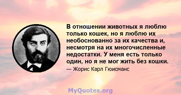 В отношении животных я люблю только кошек, но я люблю их необоснованно за их качества и, несмотря на их многочисленные недостатки. У меня есть только один, но я не мог жить без кошки.