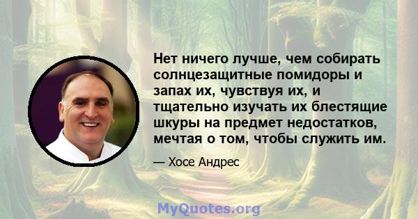 Нет ничего лучше, чем собирать солнцезащитные помидоры и запах их, чувствуя их, и тщательно изучать их блестящие шкуры на предмет недостатков, мечтая о том, чтобы служить им.