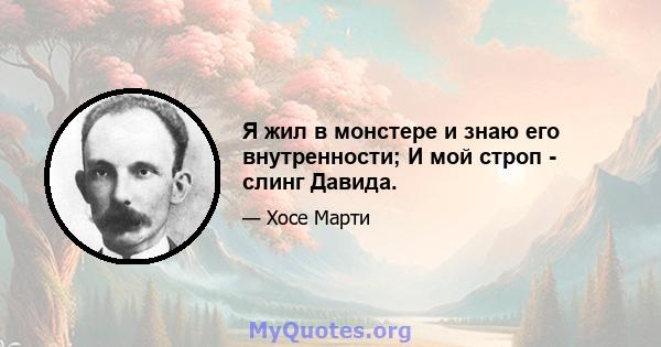 Я жил в монстере и знаю его внутренности; И мой строп - слинг Давида.