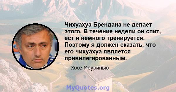 Чихуахуа Брендана не делает этого. В течение недели он спит, ест и немного тренируется. Поэтому я должен сказать, что его чихуахуа является привилегированным.