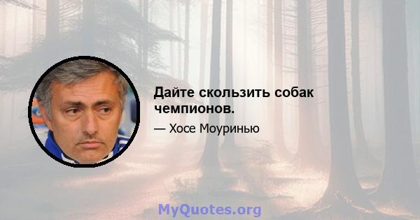 Дайте скользить собак чемпионов.