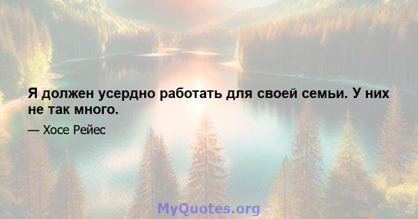 Я должен усердно работать для своей семьи. У них не так много.