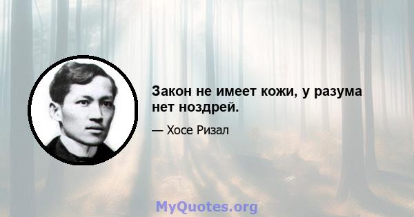 Закон не имеет кожи, у разума нет ноздрей.