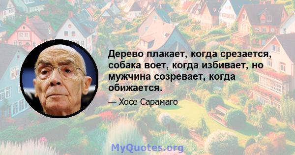 Дерево плакает, когда срезается, собака воет, когда избивает, но мужчина созревает, когда обижается.