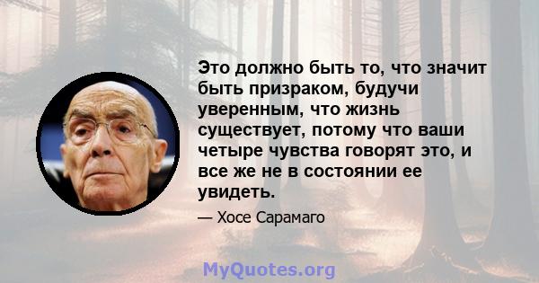 Это должно быть то, что значит быть призраком, будучи уверенным, что жизнь существует, потому что ваши четыре чувства говорят это, и все же не в состоянии ее увидеть.