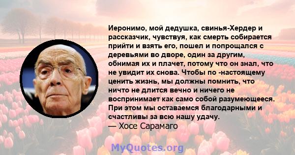 Иеронимо, мой дедушка, свинья-Хердер и рассказчик, чувствуя, как смерть собирается прийти и взять его, пошел и попрощался с деревьями во дворе, один за другим, обнимая их и плачет, потому что он знал, что не увидит их