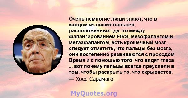 Очень немногие люди знают, что в каждом из наших пальцев, расположенных где -то между фалангированием FIRS, мезофалангом и метаафалангом, есть крошечный мозг ... следует отметить, что пальцы без мозга, они постепенно