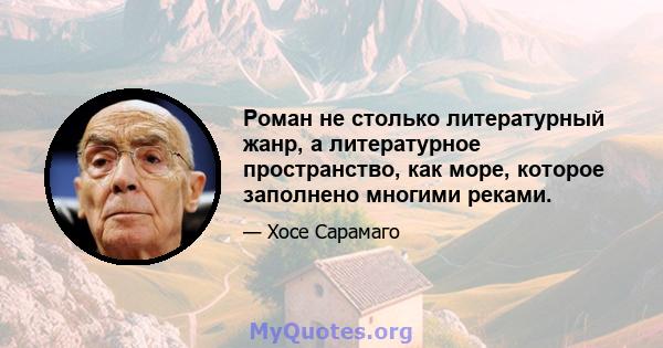 Роман не столько литературный жанр, а литературное пространство, как море, которое заполнено многими реками.