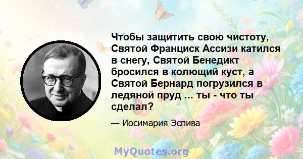 Чтобы защитить свою чистоту, Святой Франциск Ассизи катился в снегу, Святой Бенедикт бросился в колющий куст, а Святой Бернард погрузился в ледяной пруд ... ты - что ты сделал?