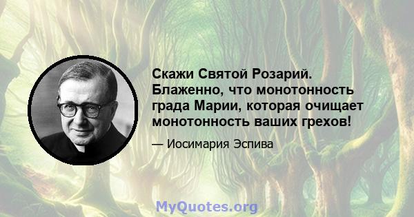 Скажи Святой Розарий. Блаженно, что монотонность града Марии, которая очищает монотонность ваших грехов!