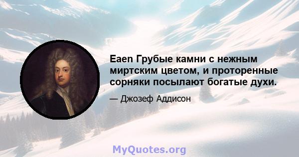 Eaen Грубые камни с нежным миртским цветом, и проторенные сорняки посылают богатые духи.